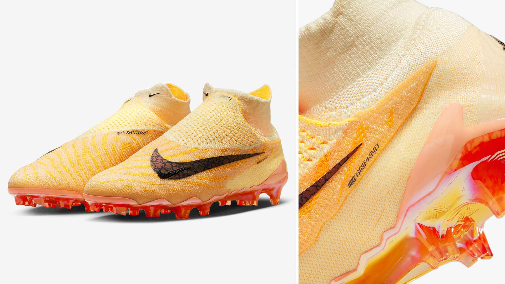 迷感到遺憾 迷感到遺憾